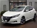 2022 Nissan Leaf