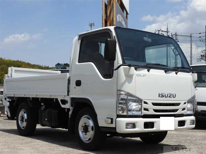 2018 Isuzu Elf Truck