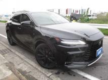 2024 Lexus RX