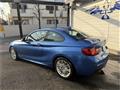 2014 BMW BMW Others