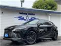 2025 Lexus RX