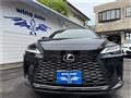 2025 Lexus RX