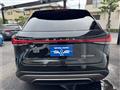 2025 Lexus RX