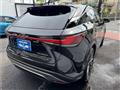 2025 Lexus RX