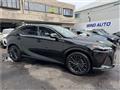 2025 Lexus RX