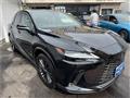 2025 Lexus RX