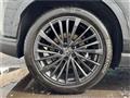 2025 Lexus RX
