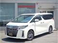2019 Toyota Alphard Hybrid