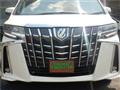 2019 Toyota Alphard Hybrid