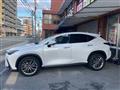 2023 Lexus Other