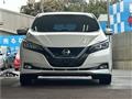 2019 Nissan Leaf