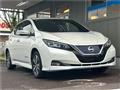2019 Nissan Leaf
