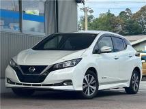 2019 Nissan Leaf