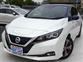 2017 Nissan Leaf