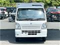 2020 Suzuki Carry Truck