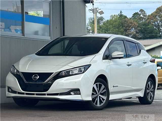 2019 Nissan Leaf