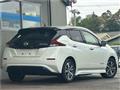 2019 Nissan Leaf