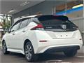 2019 Nissan Leaf