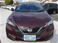 2022 Nissan Leaf