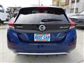 2019 Nissan Leaf