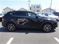 2015 Lexus Other