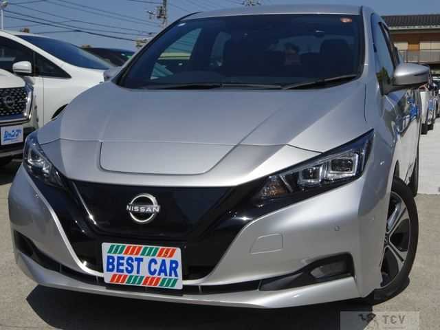 2021 Nissan Leaf