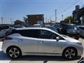 2021 Nissan Leaf