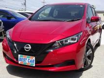 2021 Nissan Leaf
