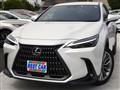 2023 Lexus Other
