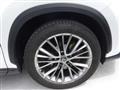 2023 Lexus Other