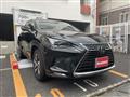 2019 Lexus Other