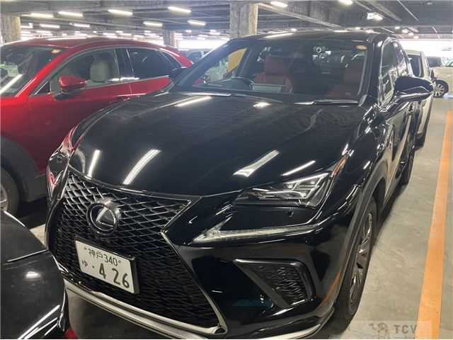 2020 Lexus Other
