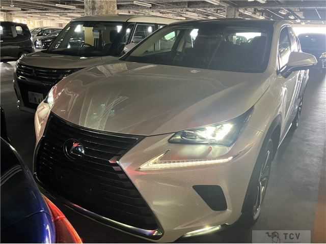 2019 Lexus Other