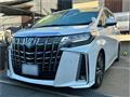 2020 Toyota Alphard G