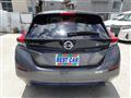 2021 Nissan Leaf