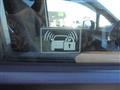 2010 Honda Step WGN