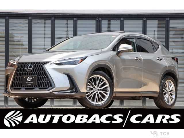 2023 Lexus Other