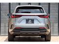 2023 Lexus Other
