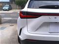2024 Lexus Other