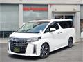 2019 Toyota Alphard G