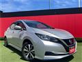 2019 Nissan Leaf