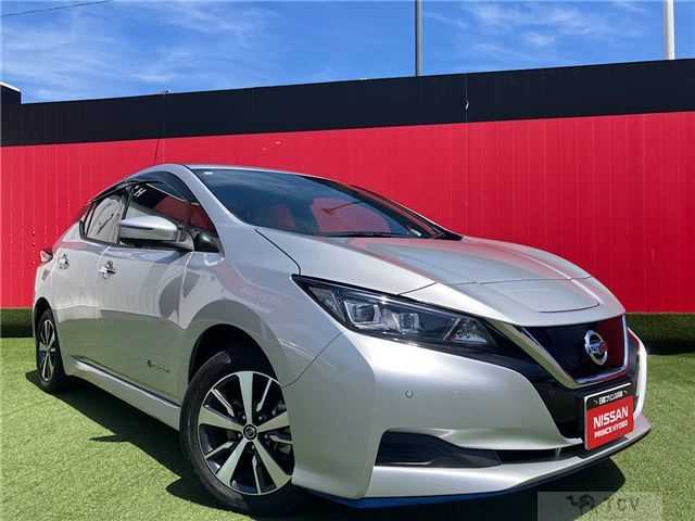 2019 Nissan Leaf