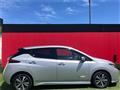 2019 Nissan Leaf