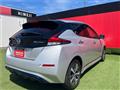 2019 Nissan Leaf