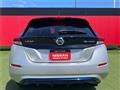 2019 Nissan Leaf