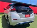 2019 Nissan Leaf