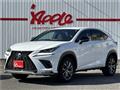2019 Lexus Other