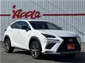 2019 Lexus Other