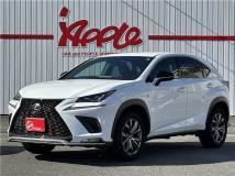 2019 Lexus Other