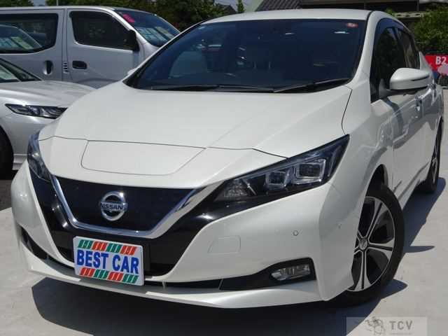 2018 Nissan Leaf